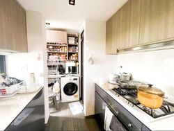Botanique At Bartley (D19), Condominium #560349711